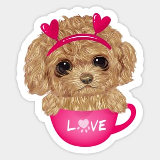 Poodle sitting inside cup Sticker